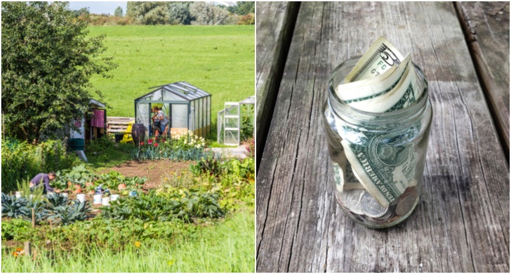 25 Unique Ways To Make Passive Income From Your Homestead