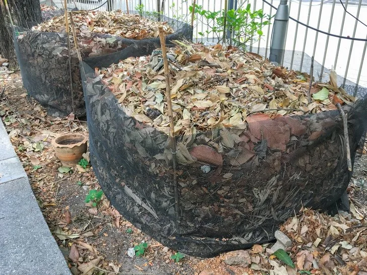 Dried Leaves As Mulch: Tips On Using Leaf Litter For Mulch