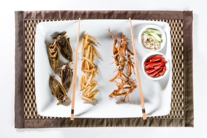 10 Reasons To Introduce Edible Insects Into Your Diet