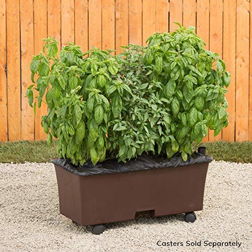 Earthbox Container Gardening System