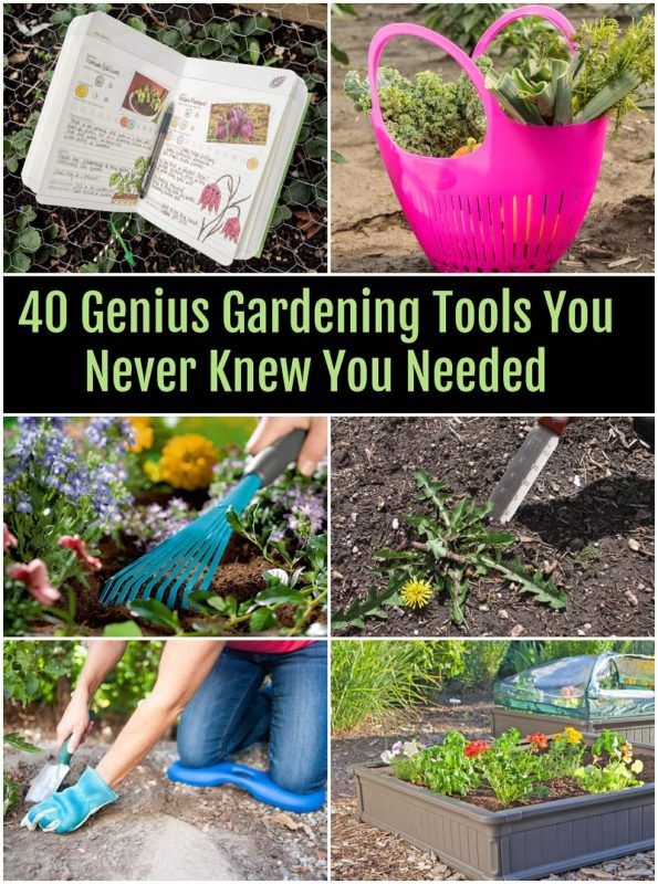 40 Genius Gardening Tools You Never Knew You Needed