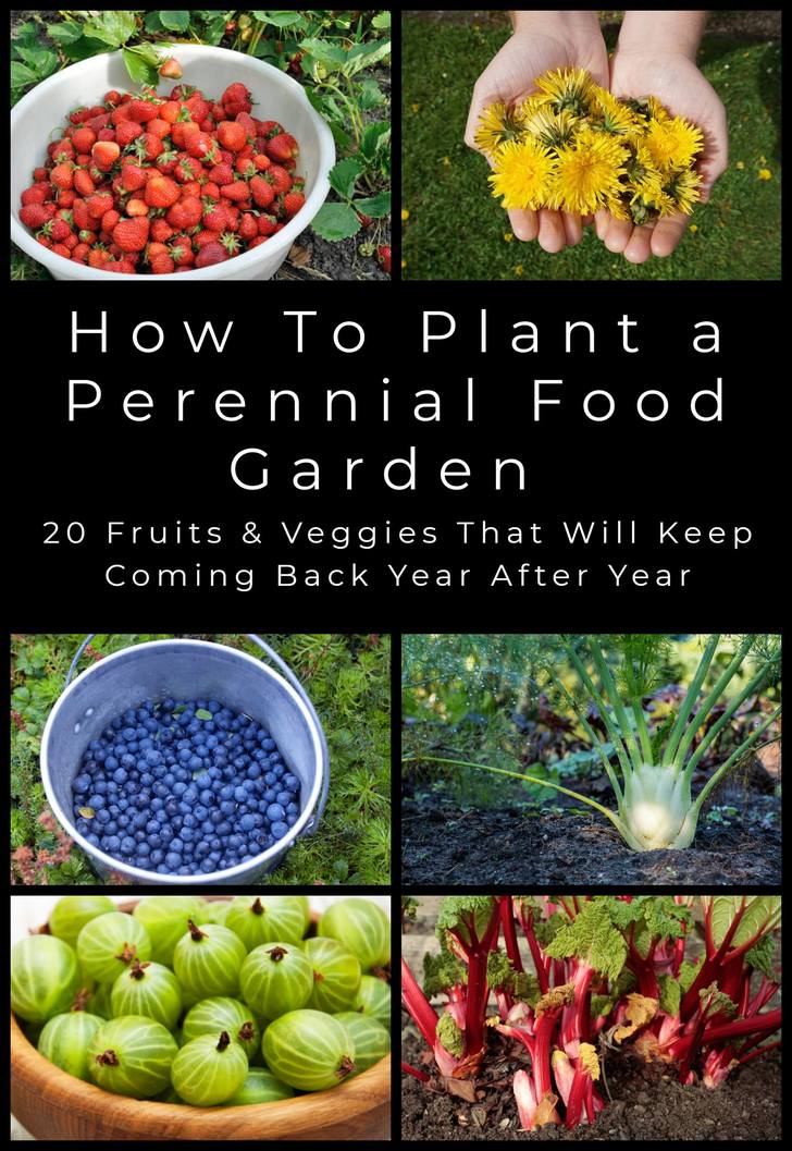20 Perennial Fruits & Veggies To Plant Once & Harvest Year After Year