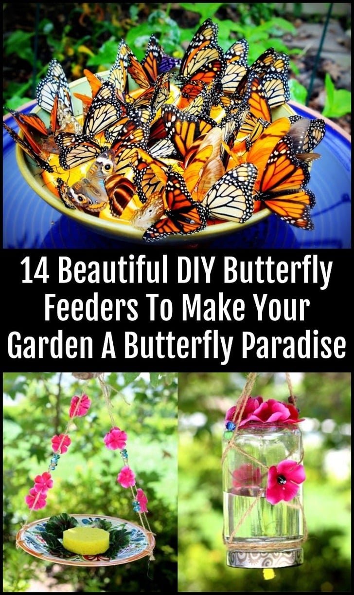 14 Beautiful DIY Butterfly Feeders To Make Your Garden A Butterfly Paradise
