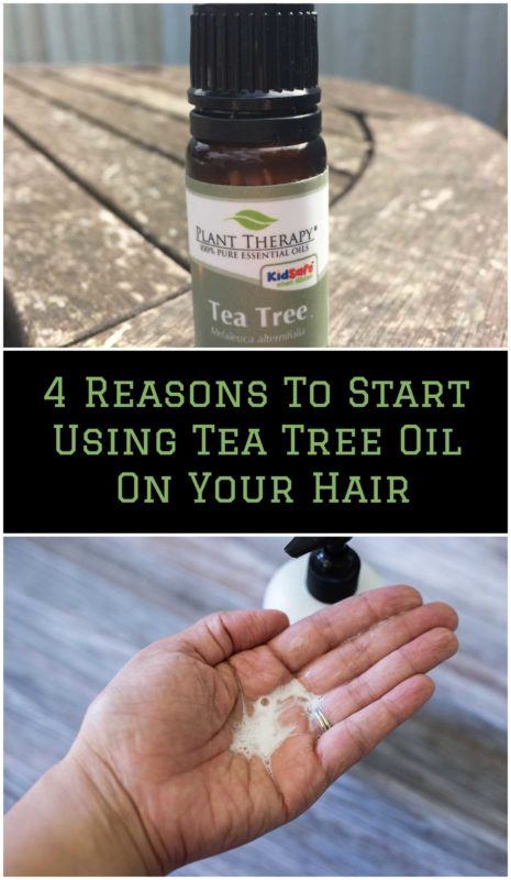 4 Reasons To Start Using Tea Tree Oil On Your Hair