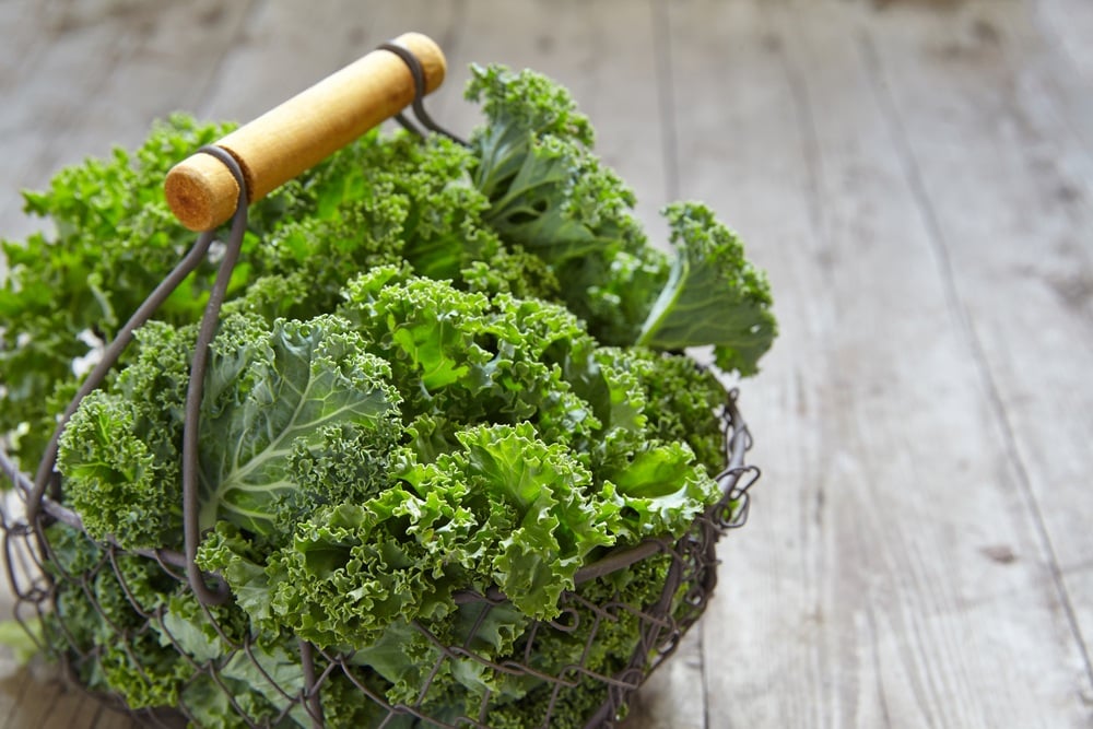 Las 14 mejores fuentes alimenticias de vitamina K y por qué necesita comer más de ellas