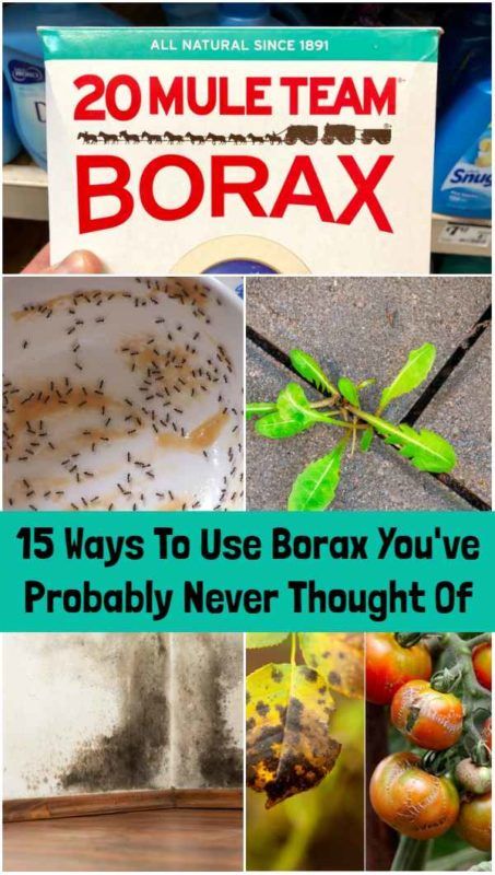 15 Ways To Use Borax You've Probably Never Even Thought Of