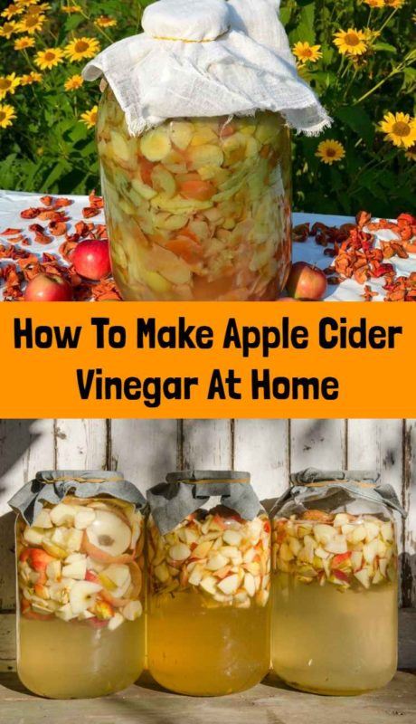 How To Make Apple Cider Vinegar At Home 