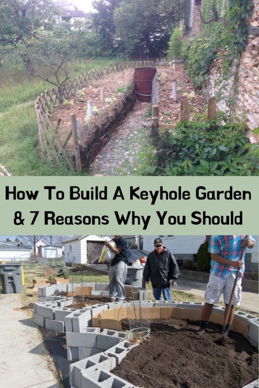 How To Build A Keyhole Garden & 7 Reasons Why You Should