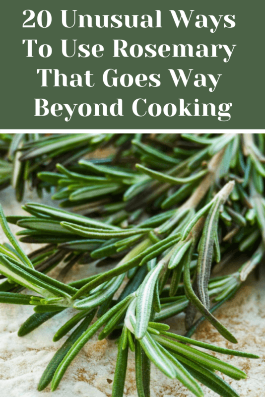 20 Unusual Ways To Use Rosemary That Goes Way Beyond Cooking