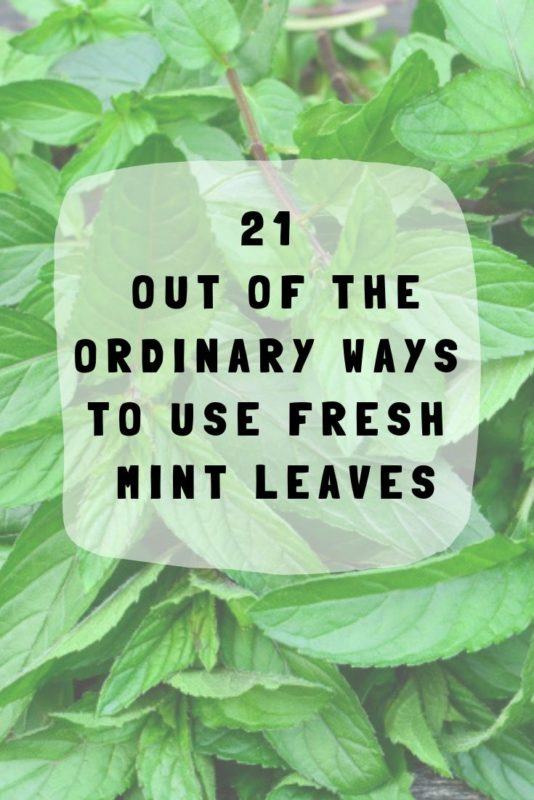 21 Out Of The Ordinary Ways To Use Fresh Mint Leaves