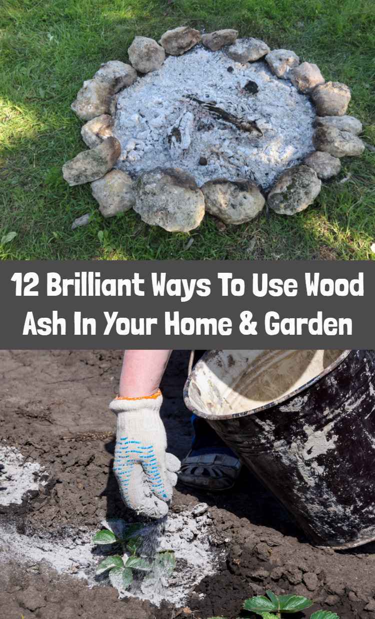 12 Brilliant Uses For Wood Ash In The Home & Garden