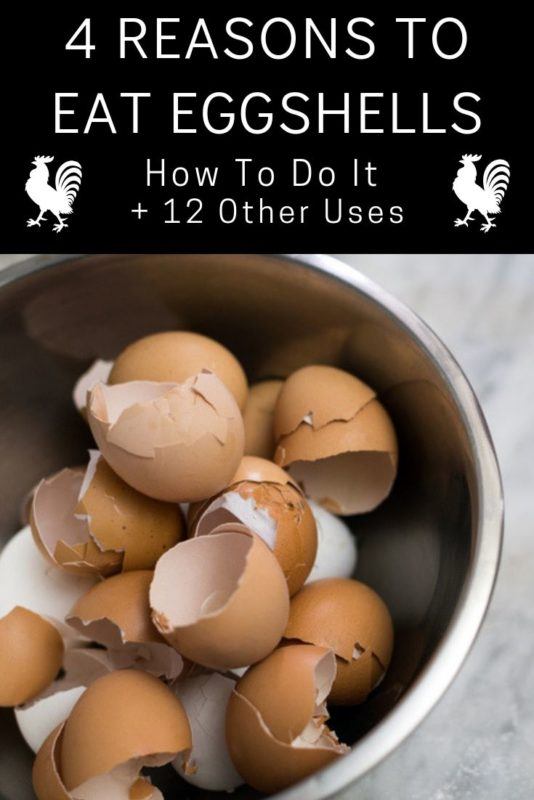 4 Reasons To Eat Eggshells, How To Do It & 12 Other Uses