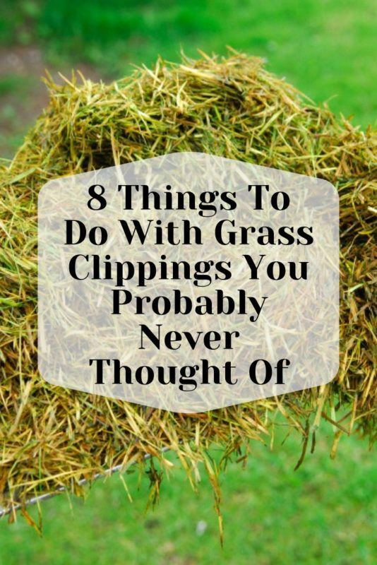 8 Things To Do With Grass Clippings You Probably Never Thought Of
