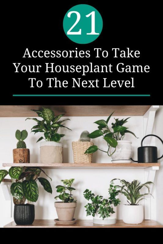 21 Accessories To Take Your Houseplant Game To The Next Level