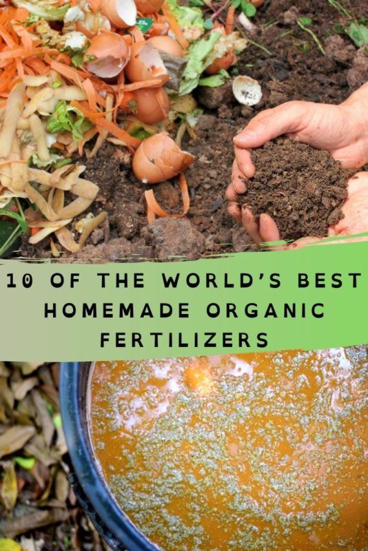10 Of The World's Best Homemade Organic Fertilizers