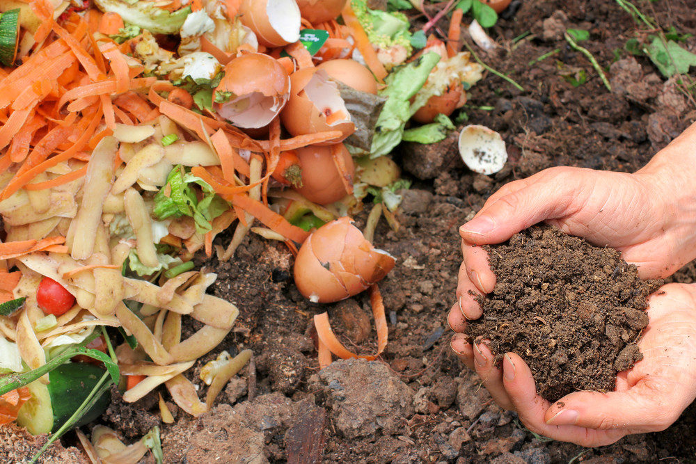 Handful of compost
