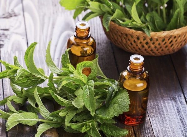 Peppermint and essential oil
