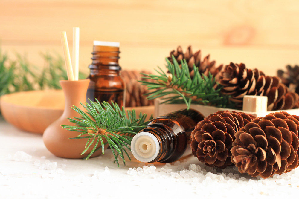 Fir needles, pinecones, oil and diffuser