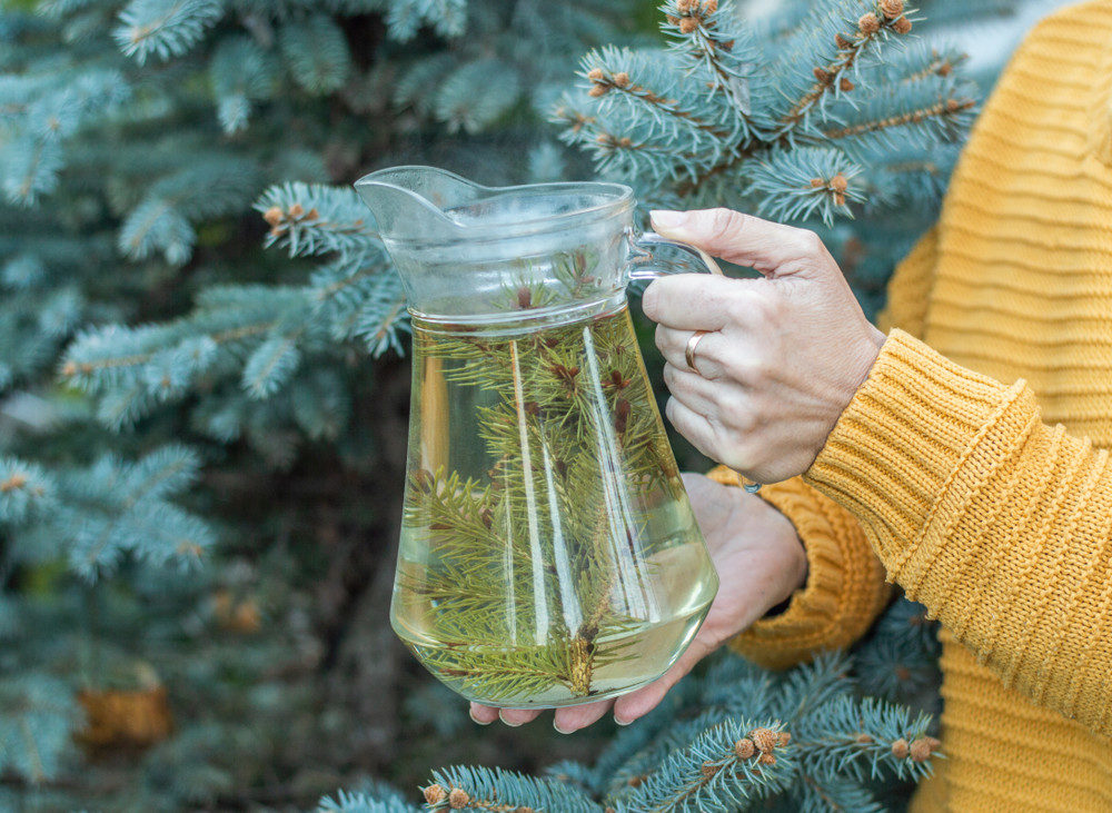 Woman holding a glass jug with pine tea before a pine tree