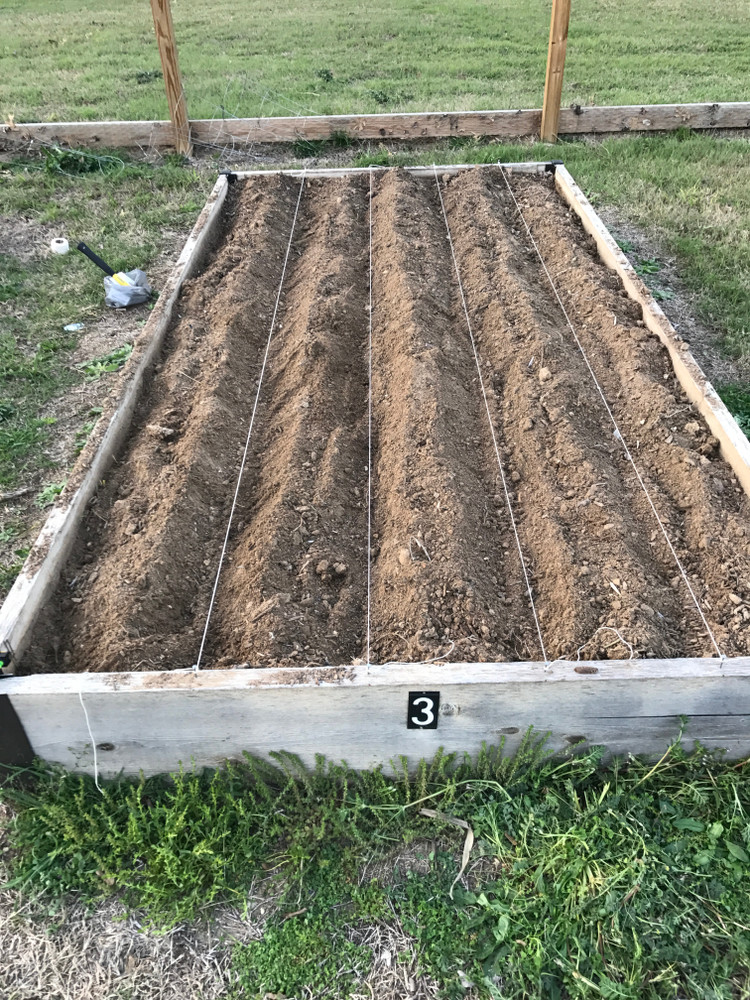 Planning a square foot garden