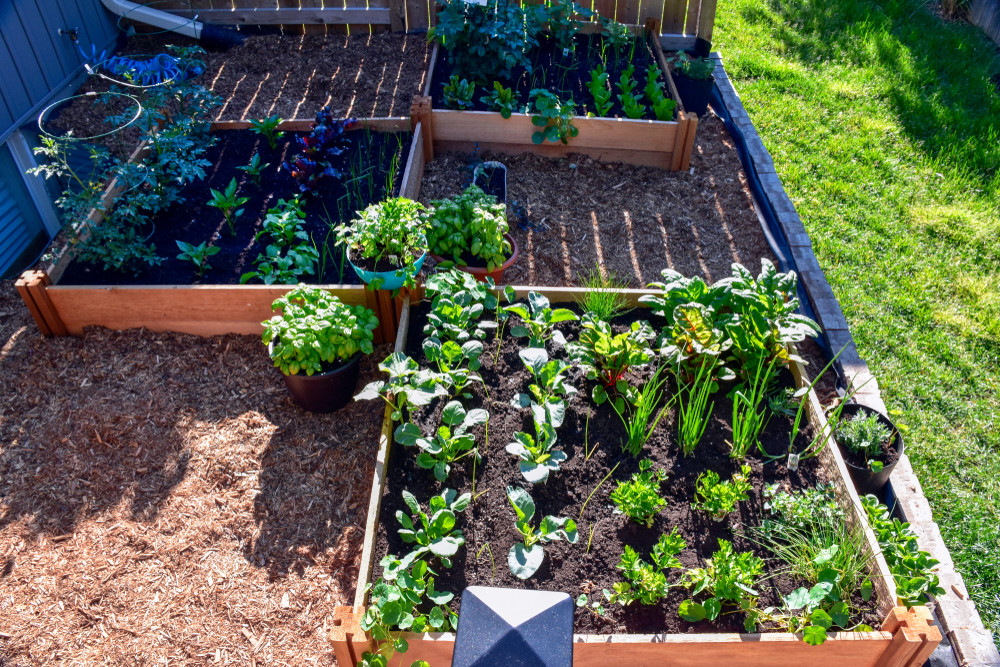 Square foot garden with various vegetables
