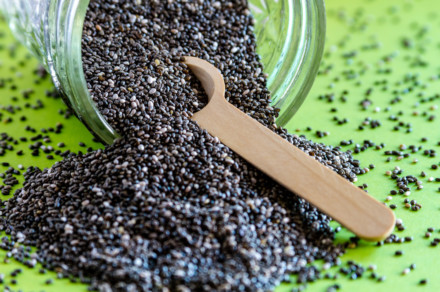 How To Grow Chia Seeds + 5 Uses For The Entire Plant