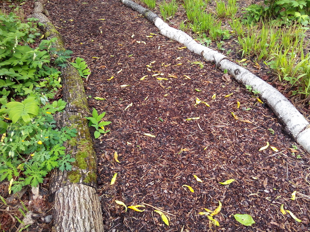 Wood chip path barrier