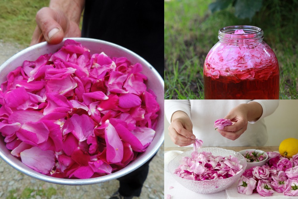 Top 10 Ways to Use Rose Petals for any Events